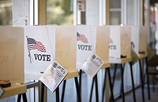 Image of a row of voting booths Image of a row of voting booths