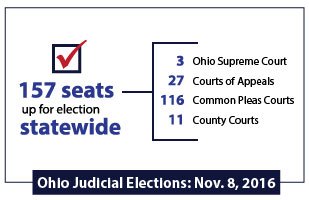 Image of a graphic showing the number of judicial seats up for election, including a breakdown of seats per type of court