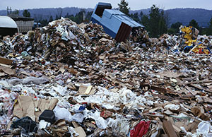 A Supreme Court opinion clarifies that privately owned sanitary landfills not subject to specific statutory and regulatory requirements are not public utilities exempt from township zoning authorities. A Supreme Court opinion clarifies that privately owned sanitary landfills not subject to specific statutory and regulatory requirements are not public utilities exempt from township zoning authorities.