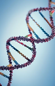 Image of a DNA helix Image of a DNA helix