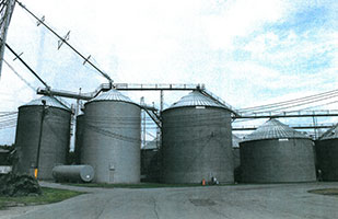 Image of a group of grain storage bins Image of a group of grain storage bins