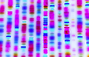 Colorful abstract image representing lines of DNA (Thinkstock)