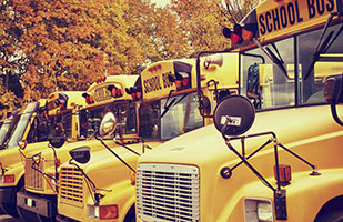 Image of a line of parked school buses. (iStock)