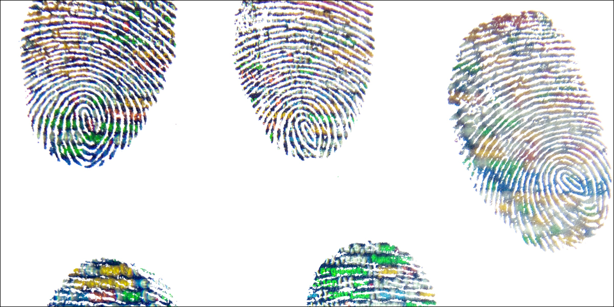Image of three full and two partial fingerprints
