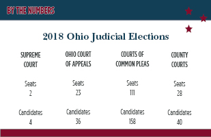 Graphic showing a breakdown by type of court of judicial seats and candidates for the November 2018 general election