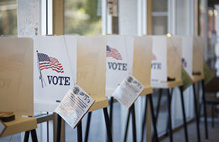 Image of a row of voting booths