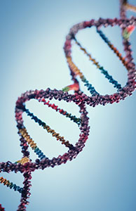 Image of a DNA helix