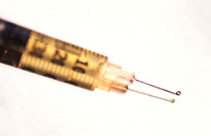 Image of a syringe Image of a syringe