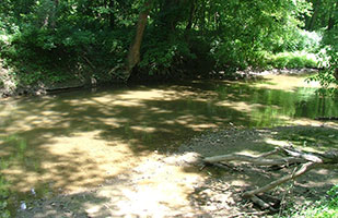 Image of a creek