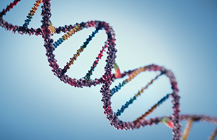 Image of a DNA helix