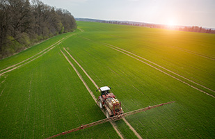 Image of farmland next to a wooded area (Thinkstock)