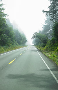 Image of a tree-lined two-lane road