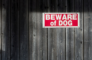 Image of a sign that says 'Beware of Dog' on a wood fence