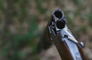 Image of the barrel of a shotgun