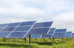 Image of several rows of solar panels in a grassy field.