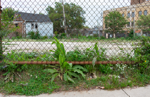 Close-up image of a rusty chain-link fence overgrown with weeds. In the background is pavement, also overgrown with weeds.