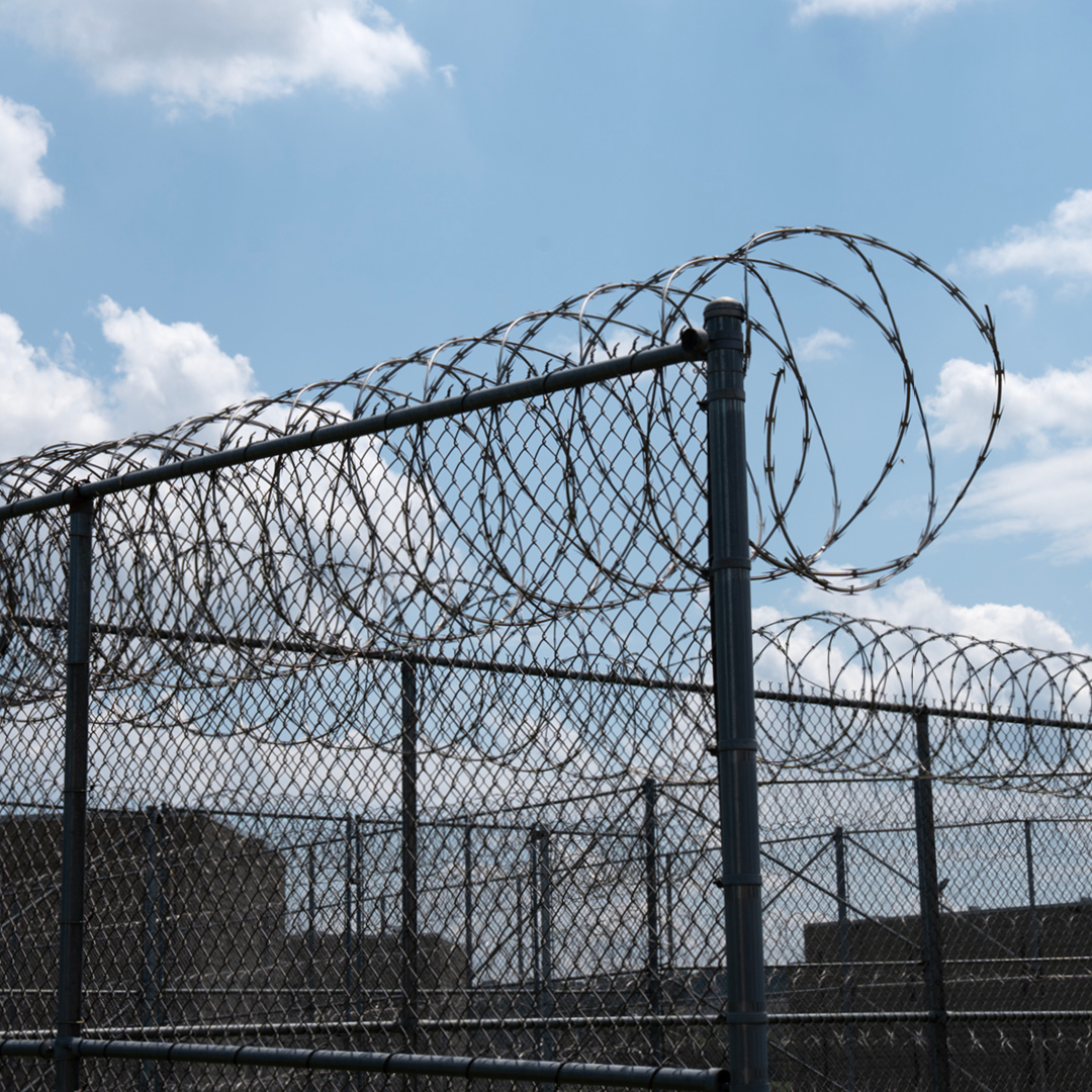 Barbed wire fencing.