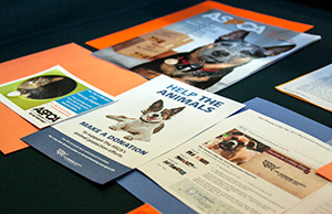 Image of various brochures and other information related to the prevention of animal cruelty and abuse Image of various brochures and other information related to the prevention of animal cruelty and abuse