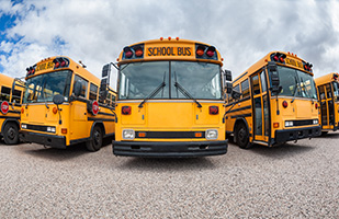 Image of school buses lined up (Thinkstock)