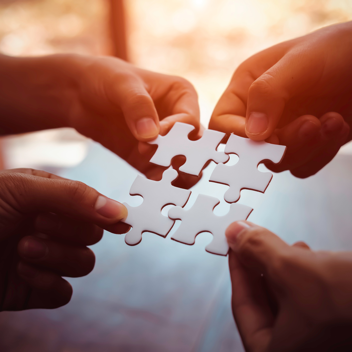 hands holding a puzzle