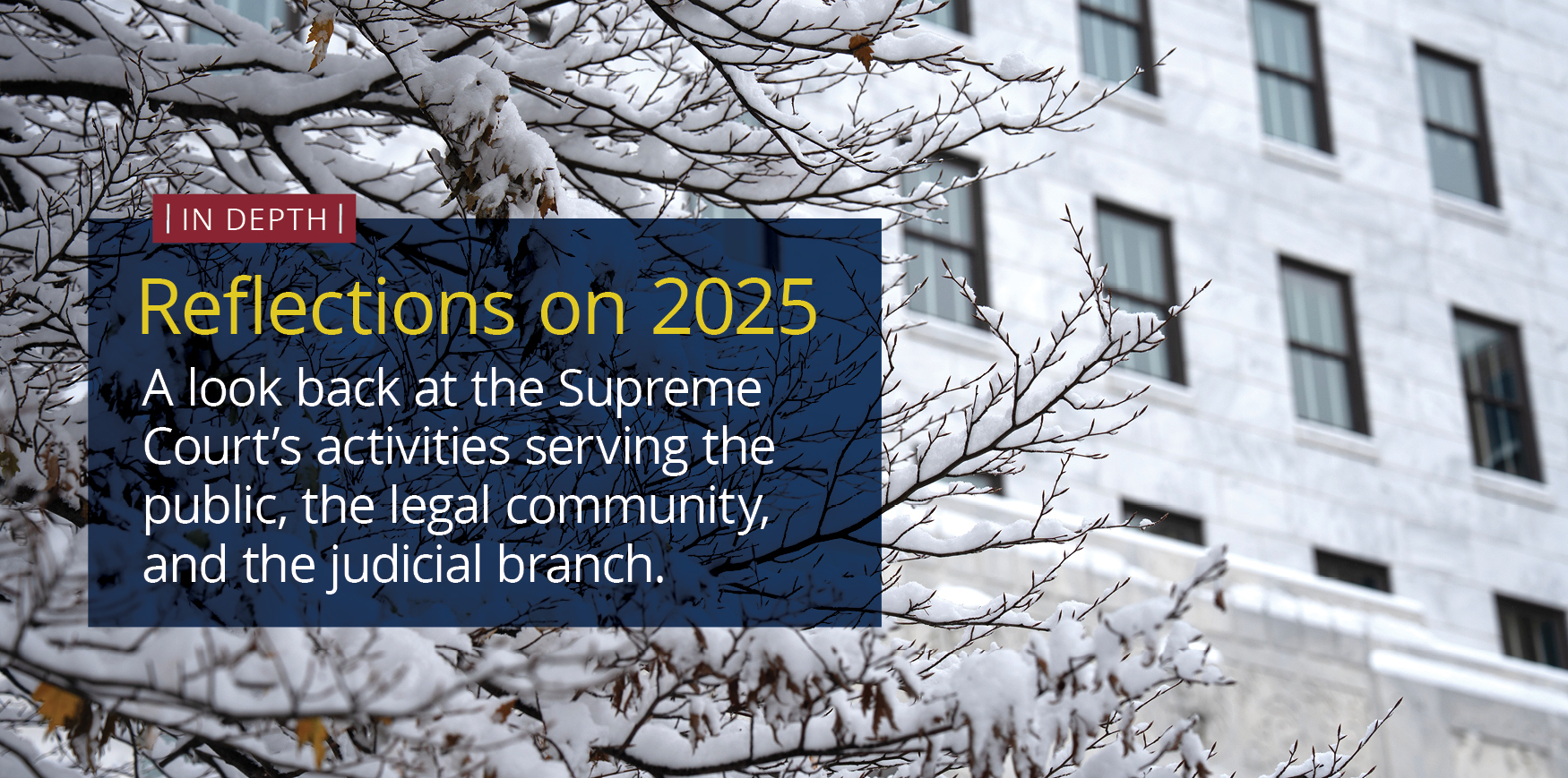 A snow covered tree in front of a multi-story, white marble building.