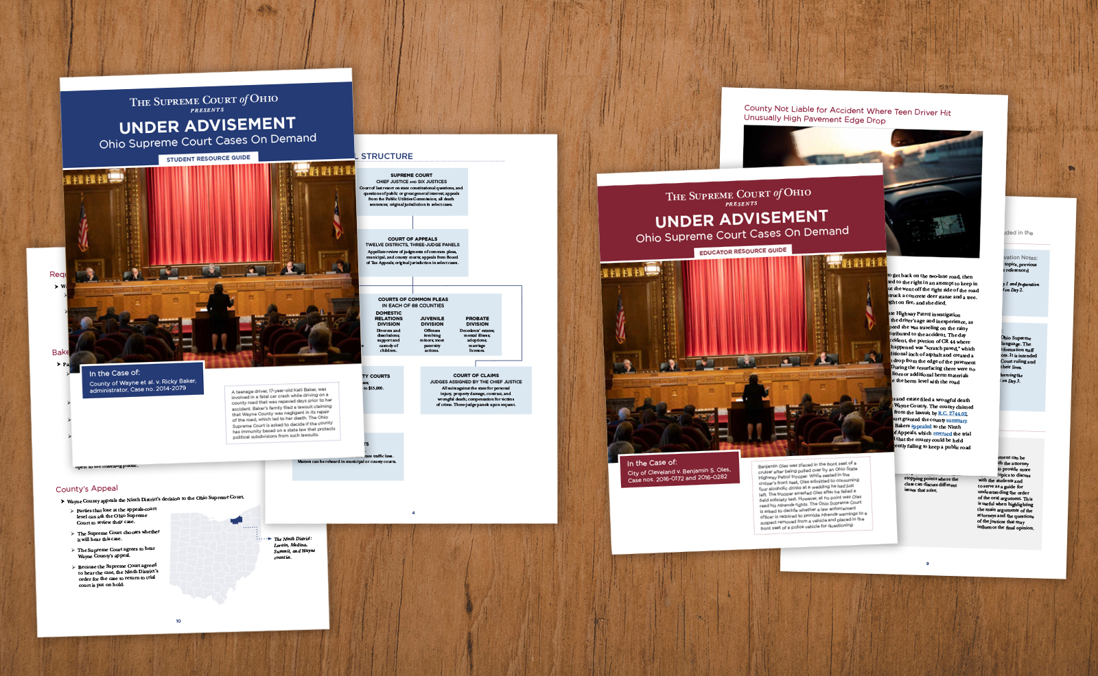 Image of several pages from the 'Under Advisement' lesson plans